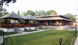 Chitwan Jungle Safari Lodge